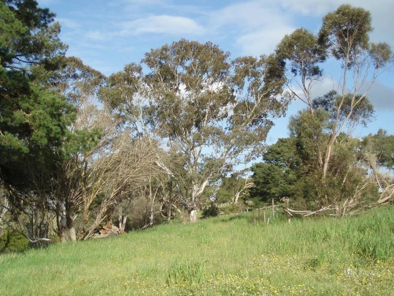 Lot 1 Cut Hill Road, Kangarilla SA 5157