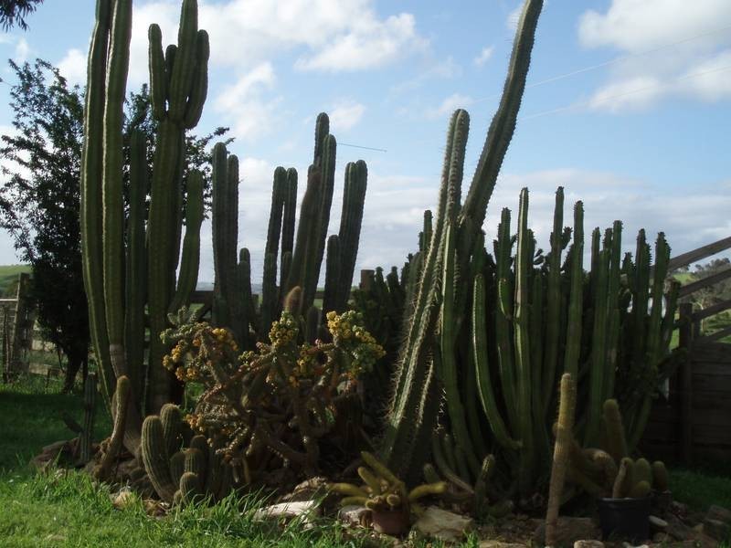 Lot 1 Cut Hill Road, Kangarilla SA 5157