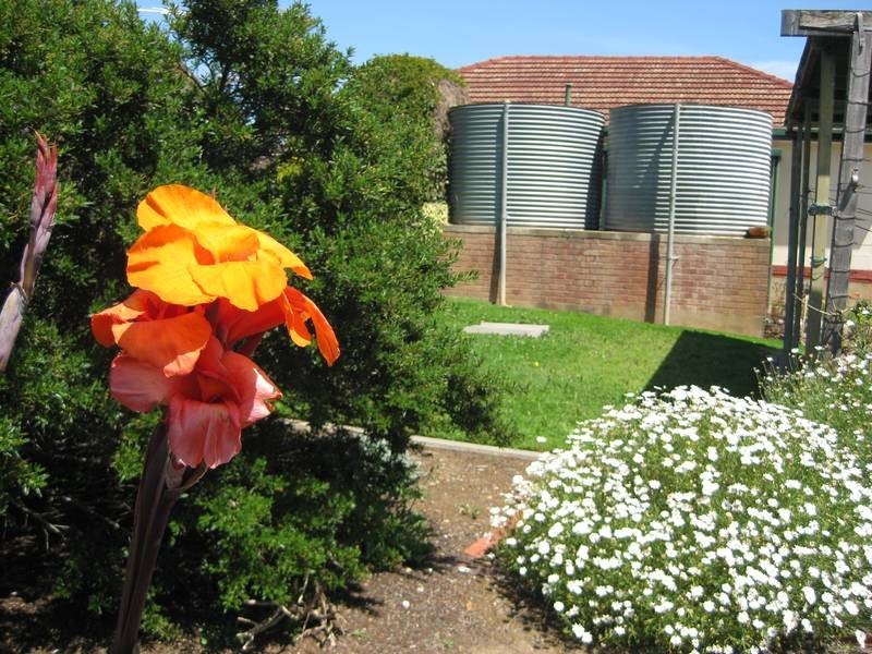 7 Field Street, Mclaren Vale SA 5171