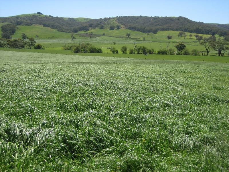 Lot 12 Hindmarsh Valley Road, Hindmarsh Tiers SA 5202