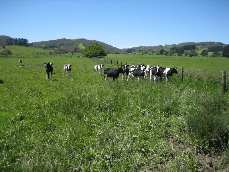 Lot 12 Hindmarsh Valley Road, Hindmarsh Tiers SA 5202