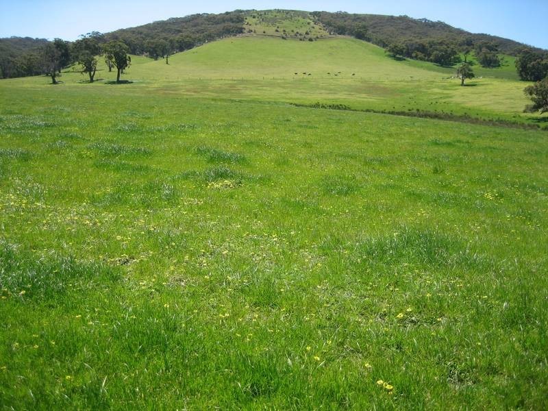 Lt 12 Hindmarsh Valley Road, Hindmarsh Tiers SA 5202