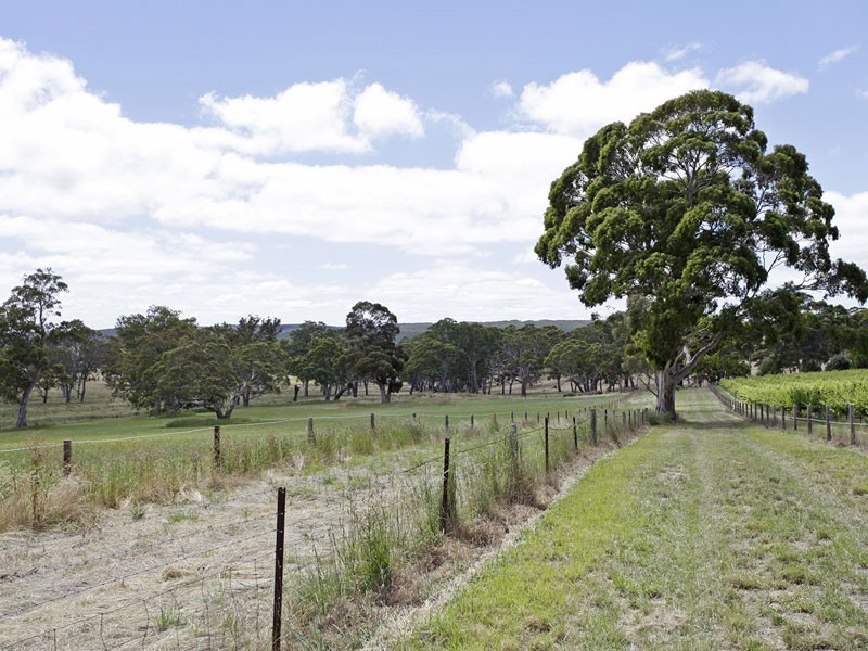 Lt 20 Pottery Road (via The Range), Mclaren Vale SA 5171