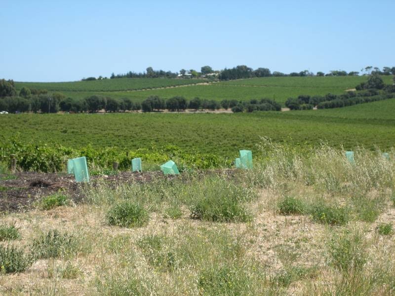 Lots 52-54 California Road, Mclaren Vale SA 5171