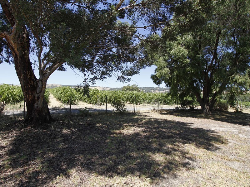 Lot 8 Oakley Road, Mclaren Flat SA 5171