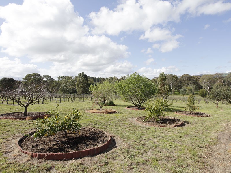 RSD Blewitt Springs Road, Mclaren Flat SA 5171