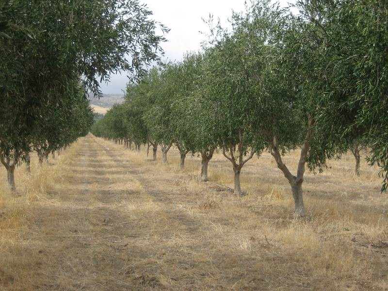 Lot 361, Hahn Road, Willunga SA 5172