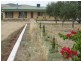 Lot 361, Hahn Road, Willunga SA 5172