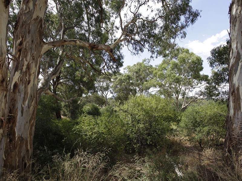 Lot 40 Douglas Gully Road, Blewitt Springs SA 5171