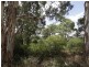 Lot 40 Douglas Gully Road, Blewitt Springs SA 5171
