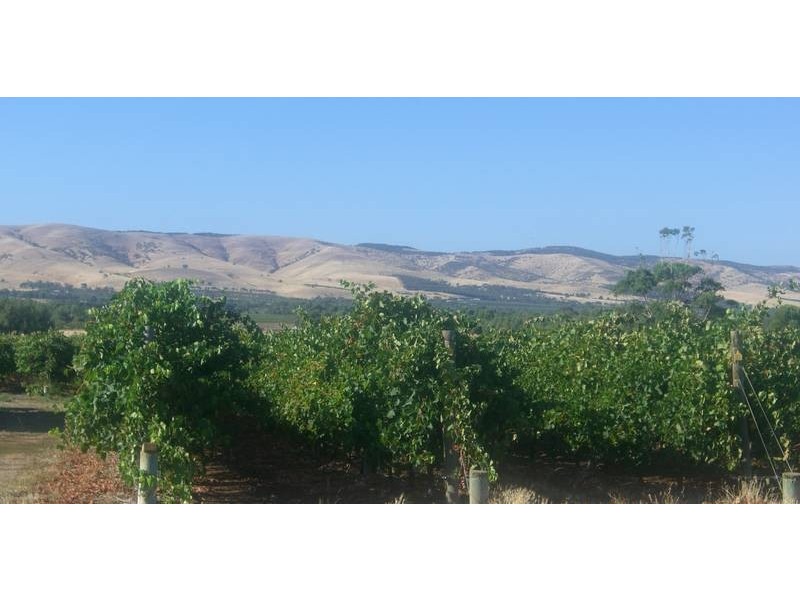 Lot 1 Little Road, Willunga SA 5172