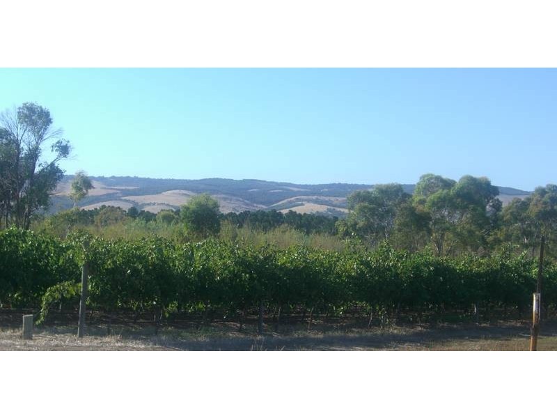 Lot 1 Little Road, Willunga SA 5172