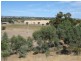 Lot 101 Stump Hill Road, Mclaren Vale SA 5171