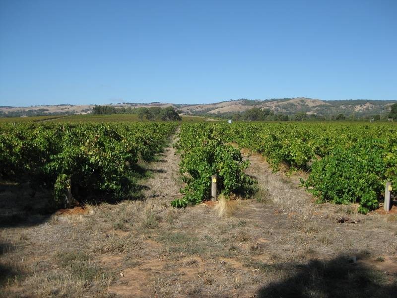 14 Ingoldby Road, Mclaren Flat SA 5171