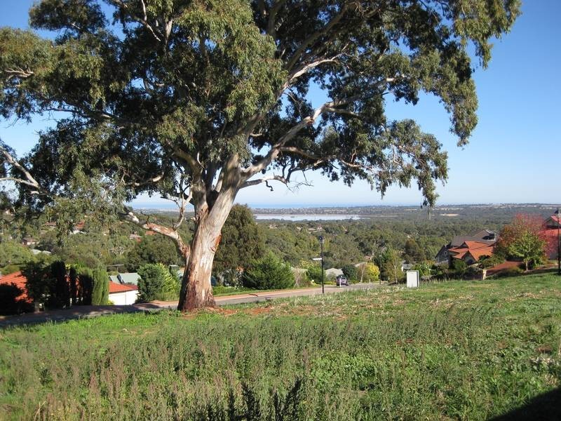 2 The Oaks Parade, Aberfoyle Park SA 5159