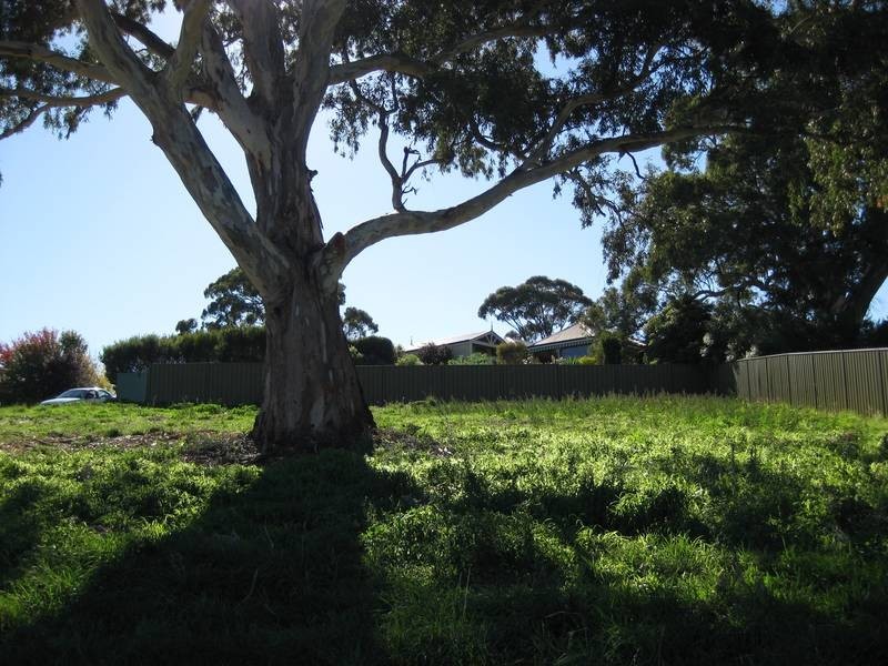 2 The Oaks Parade, Aberfoyle Park SA 5159