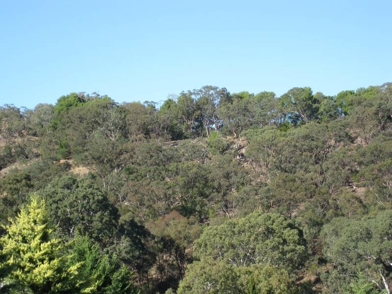 2 The Oaks Parade, Aberfoyle Park SA 5159