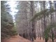 Lot 140 Dodd Road, Pages Flat SA 5172