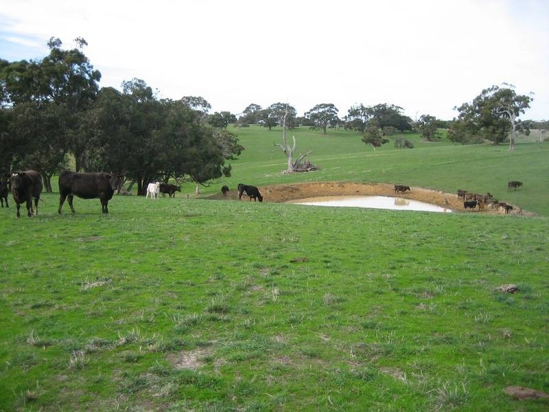 Lot 132 Range Road, The Range SA 5172