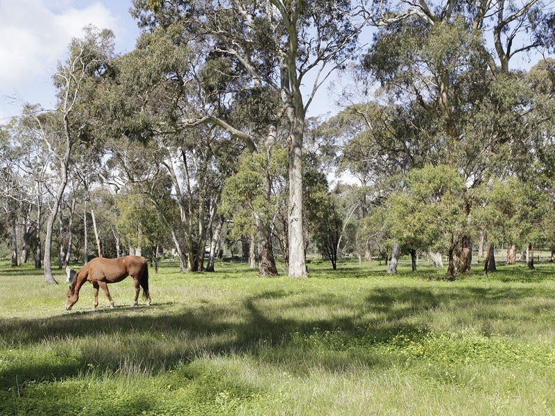 RSD 710 Blewitt Springs Road, Mclaren Flat SA 5171