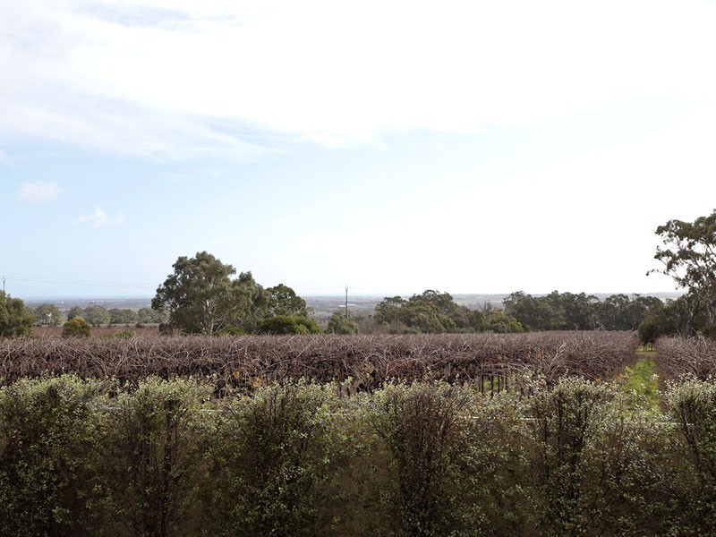 Lot 2 Edwards Road, Willunga SA 5172