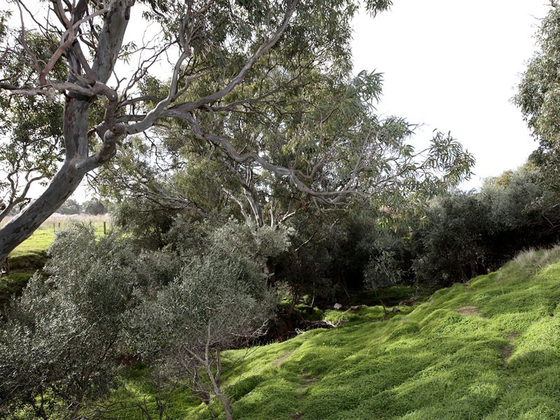 Lot 2 Edwards Road, Willunga SA 5172