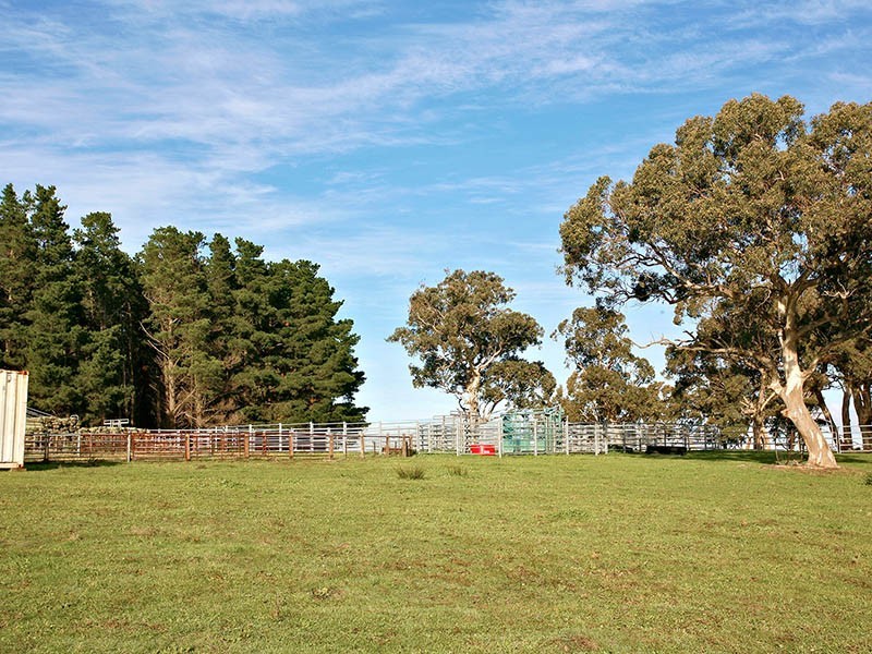 75 & 76 Burns Road, Ashbourne SA 5157