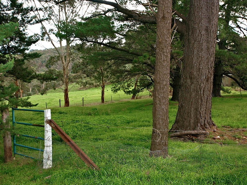 Lot 3 Cut Hill Road, Kangarilla SA 5157