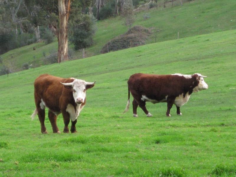 Lot 3 Cut Hill Road, Kangarilla SA 5157