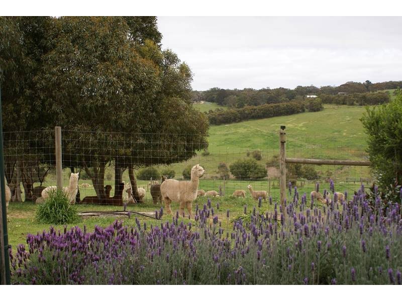 Lot 121 Bevan Road, Hope Forest SA 5172