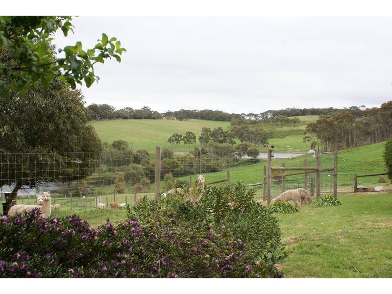 Lot 121 Bevan Road, Hope Forest SA 5172