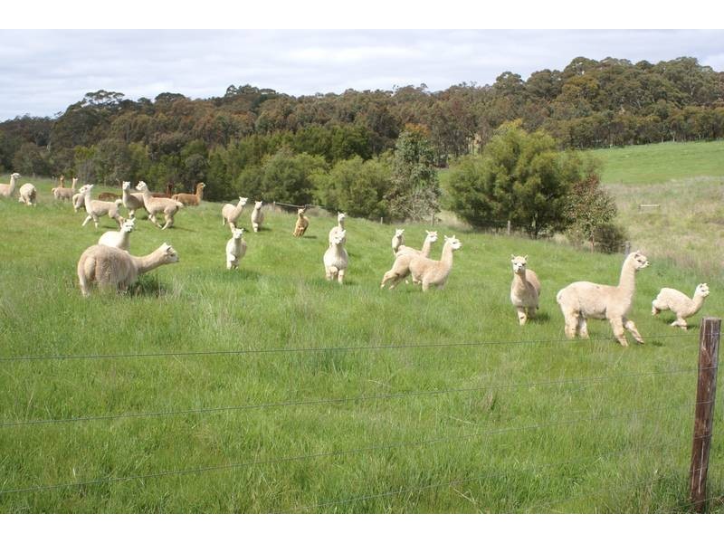 Lot 121 Bevan Road, Hope Forest SA 5172