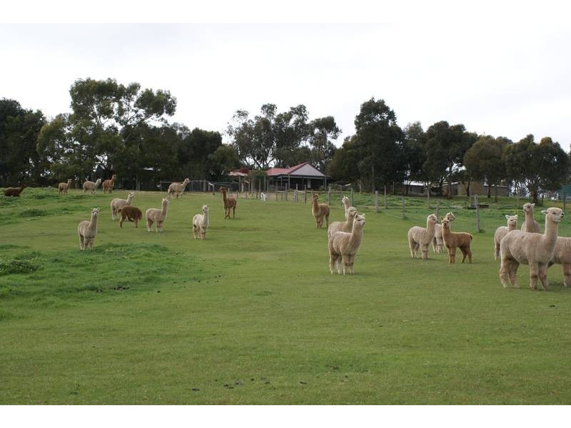 Lot 121 Bevan Road, Hope Forest SA 5172