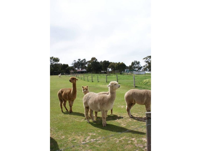 Lot 121 Bevan Road, Hope Forest SA 5172