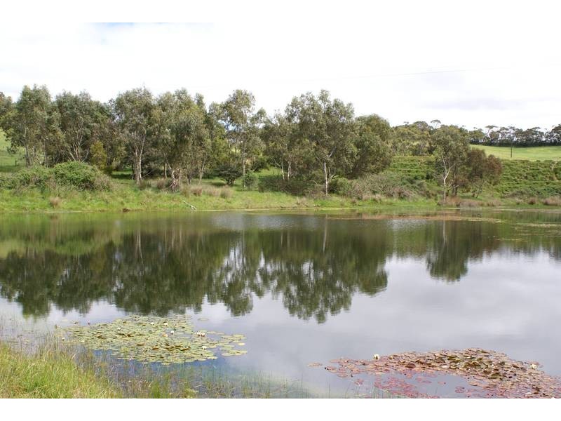 Lot 121 Bevan Road, Hope Forest SA 5172