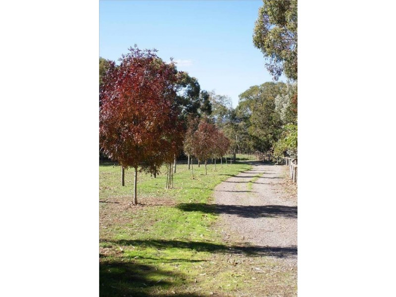 Lot 121 Bevan Road, Hope Forest SA 5172