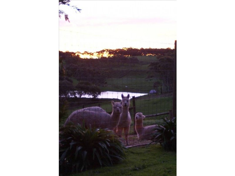 Lot 121 Bevan Road, Hope Forest SA 5172