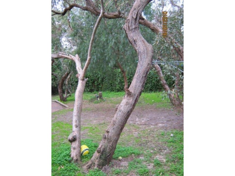 59 Bristol Street, Aldinga Beach SA 5173