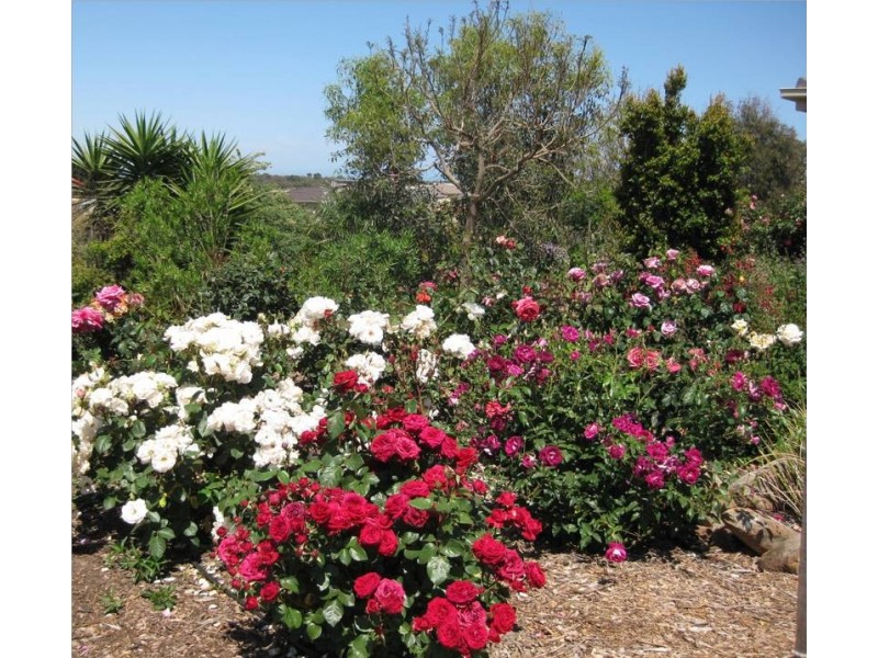 149 Rowley Road, Aldinga Beach SA 5173