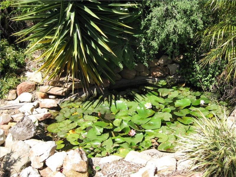 149 Rowley Road, Aldinga Beach SA 5173