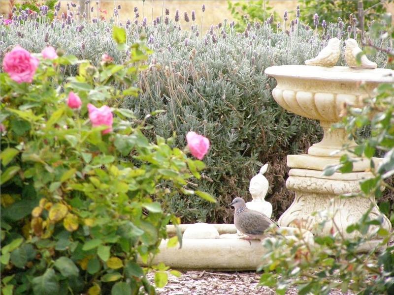 149 Rowley Road, Aldinga Beach SA 5173