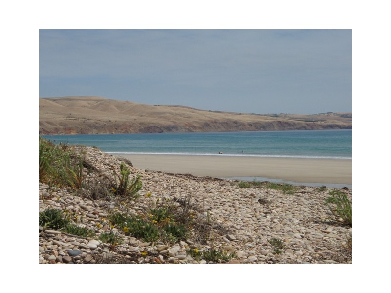 3 Seagull Street, Aldinga Beach SA 5173