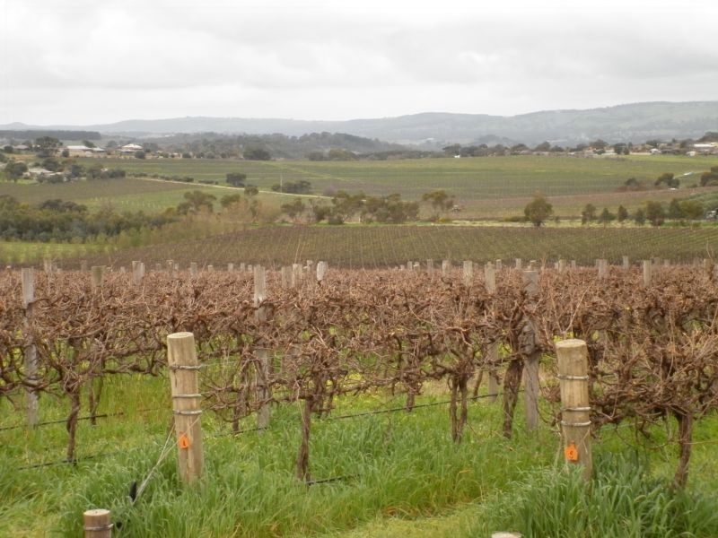 Lot 50 California Road, Mclaren Vale SA 5171