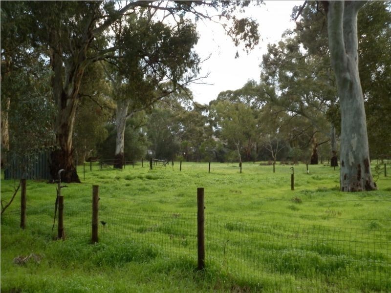 Lot 3 Douglas Gully Road, Blewitt Springs SA 5171