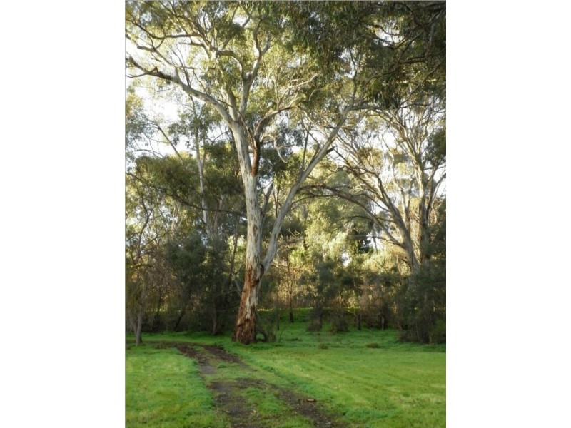 Lot 3 Douglas Gully Road, Blewitt Springs SA 5171