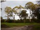 Lot 3 Douglas Gully Road, Blewitt Springs SA 5171