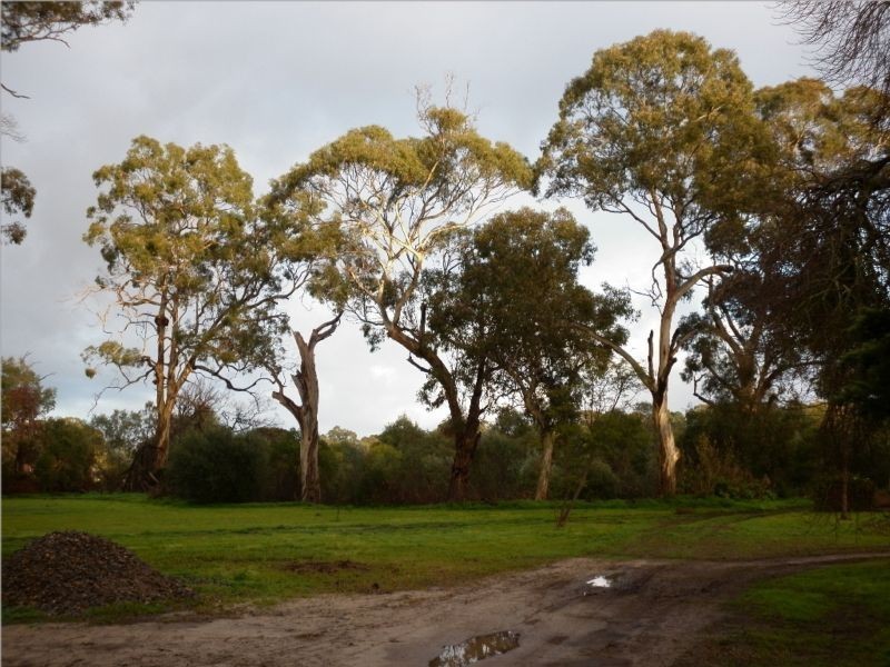 Lot 3 Douglas Gully Road, Blewitt Springs SA 5171