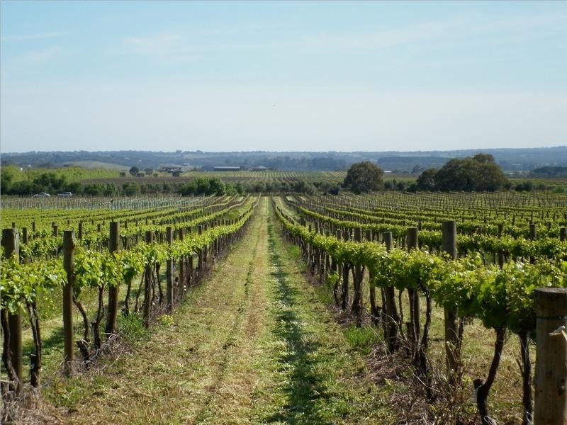 Lot 118 Binney Road, Willunga SA 5172