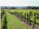 Lot 118 Binney Road, Willunga SA 5172