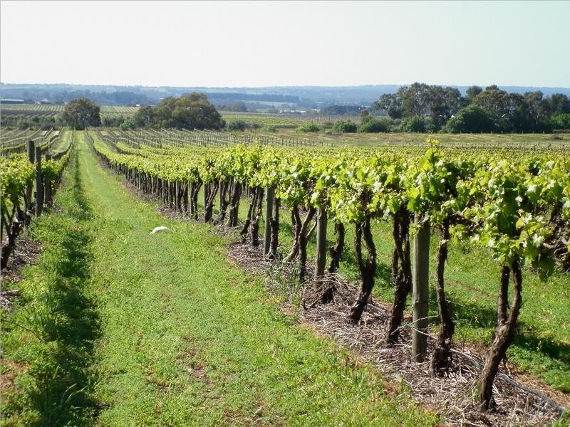 Lot 118 Binney Road, Willunga SA 5172